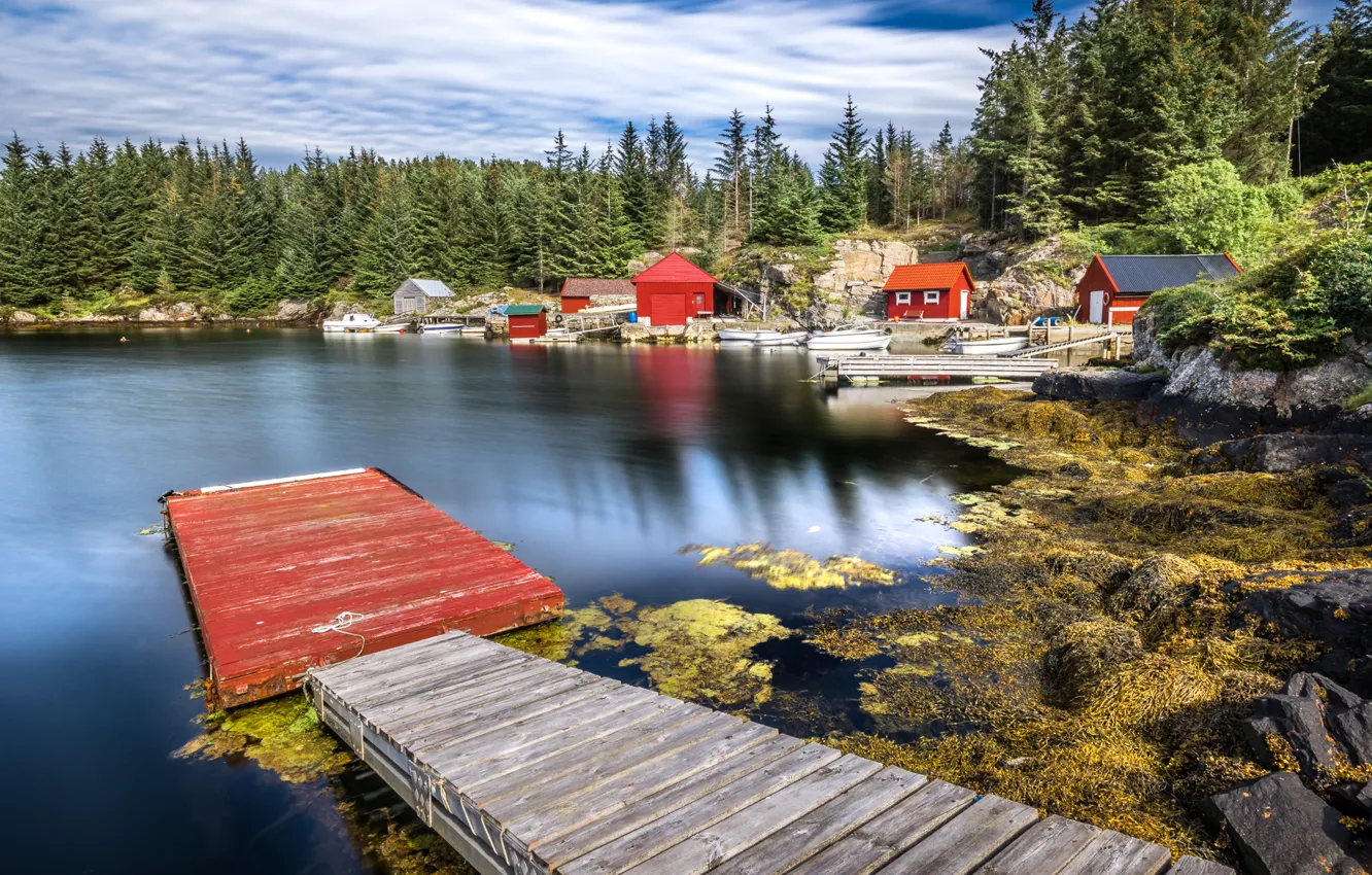 Photo wallpaper forest, trees, lake, stones, shore, boats, pier, Norway