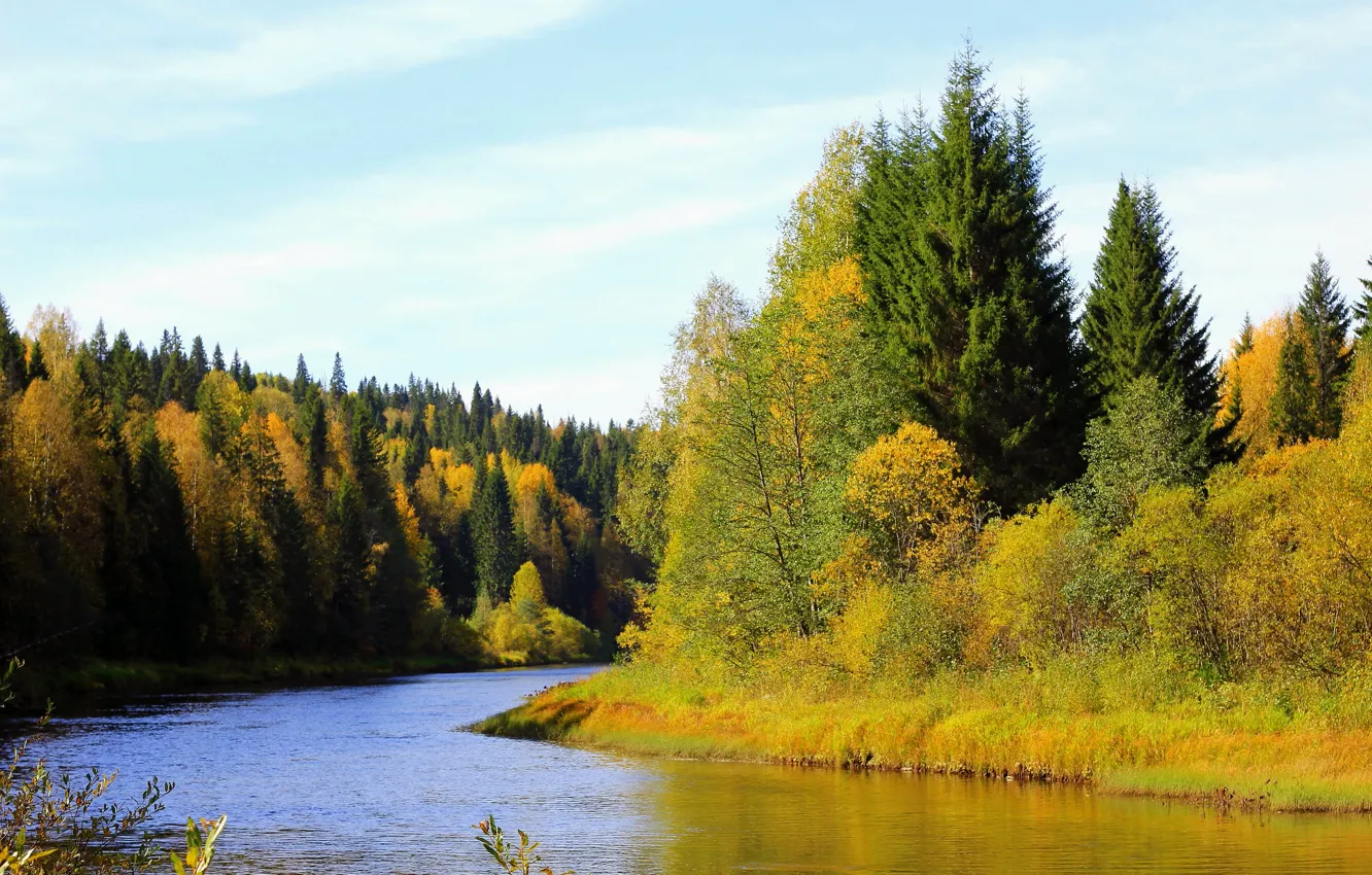 Photo wallpaper autumn, forest, trees, river, shore, Russia, Perm Krai