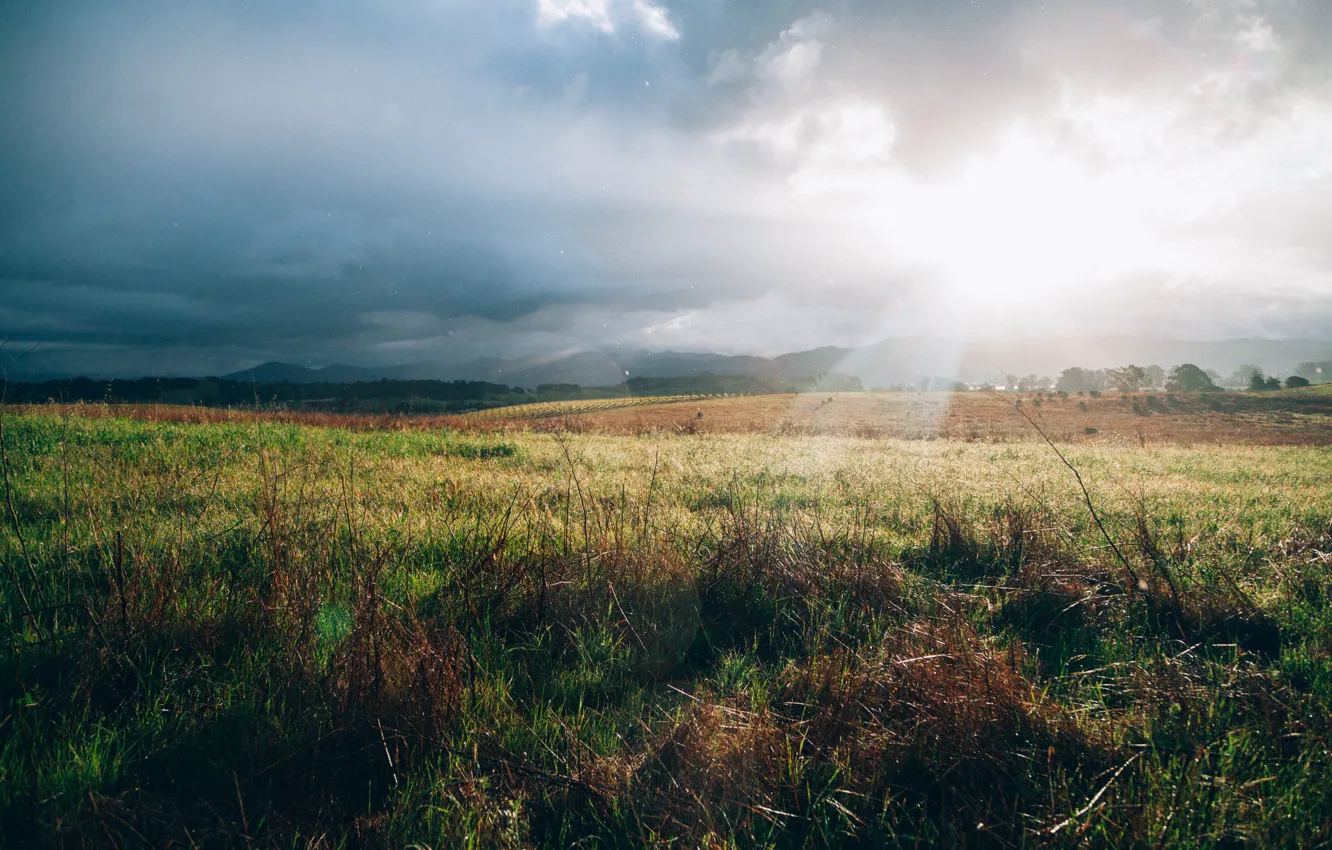 Photo wallpaper field, landscape, meadow