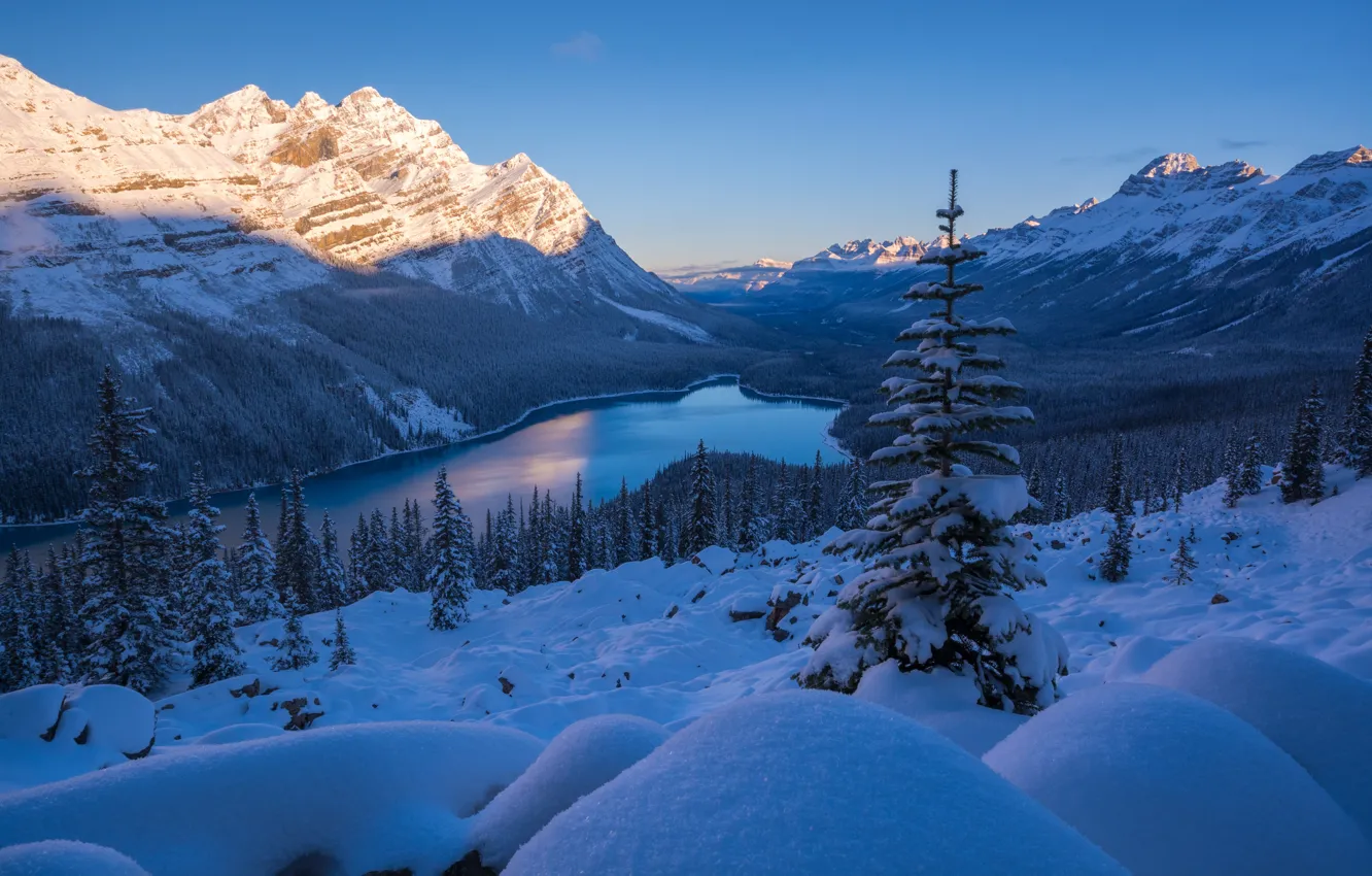 Photo wallpaper winter, snow, mountains, lake, ate, Canada, the snow, Albert