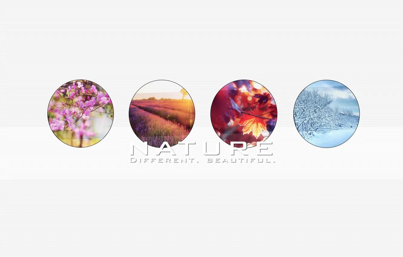 Photo wallpaper winter, autumn, summer, seasons, spring, diversity