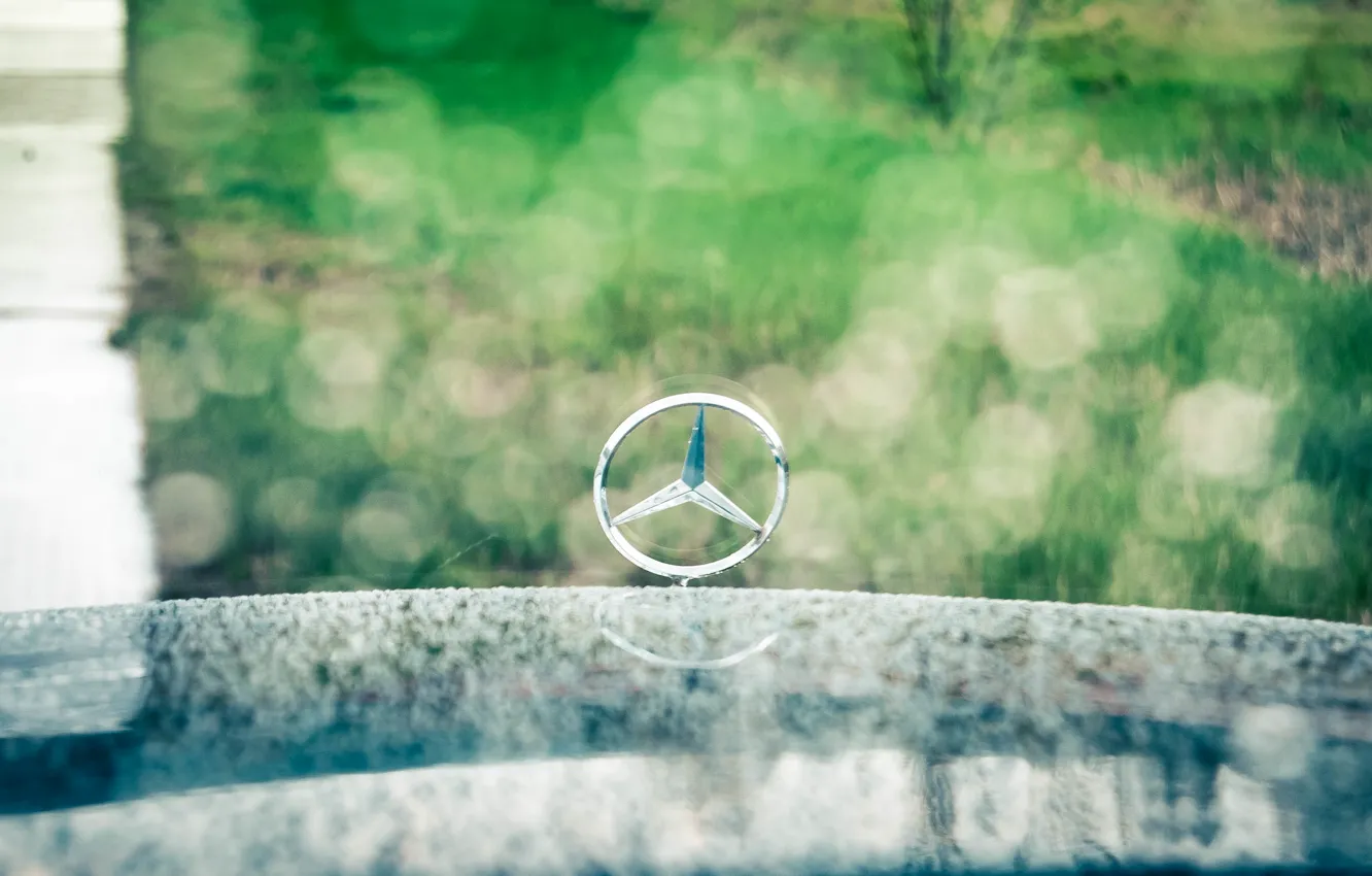Photo wallpaper Mercedes-Benz, Mercedes, Benz, Mercedes, gelding, Mercedes, 190, W201