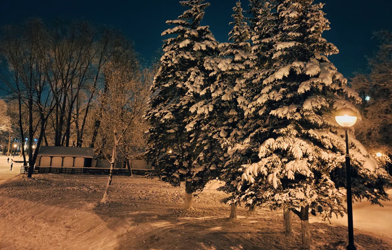 Photo wallpaper snow, night, Winter