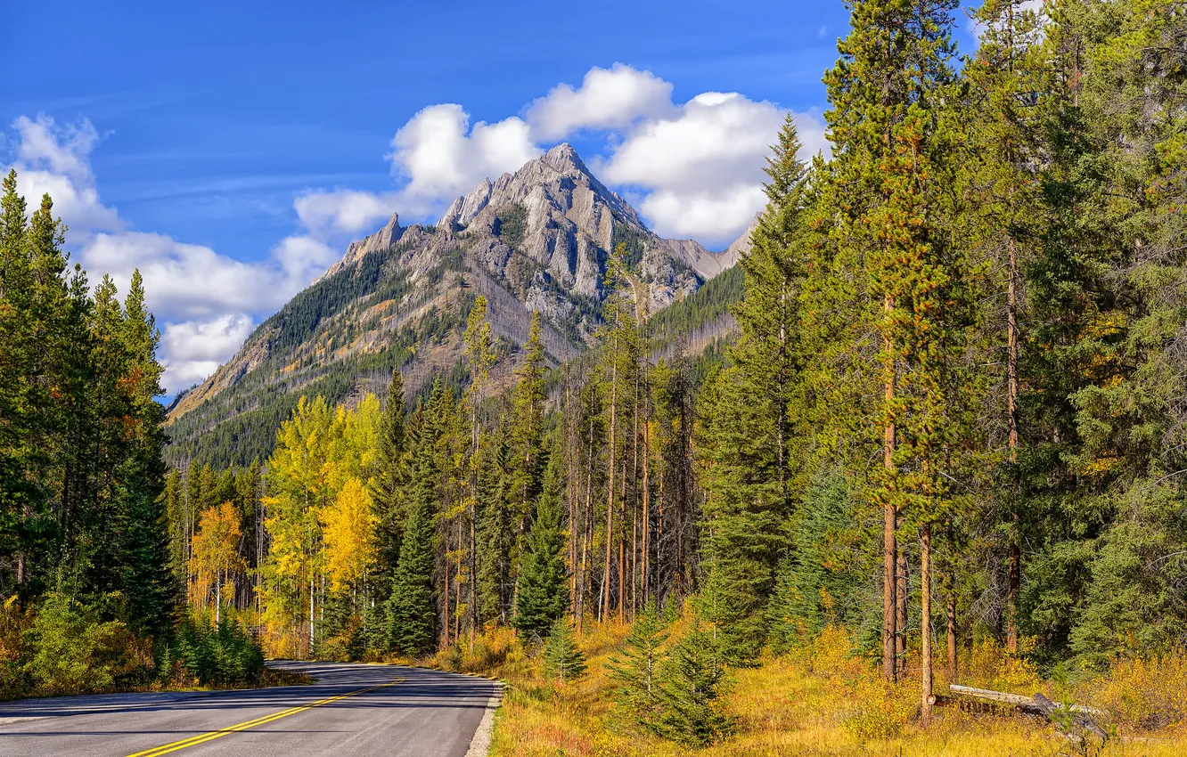 Photo wallpaper road, autumn, forest, the sky, mountains