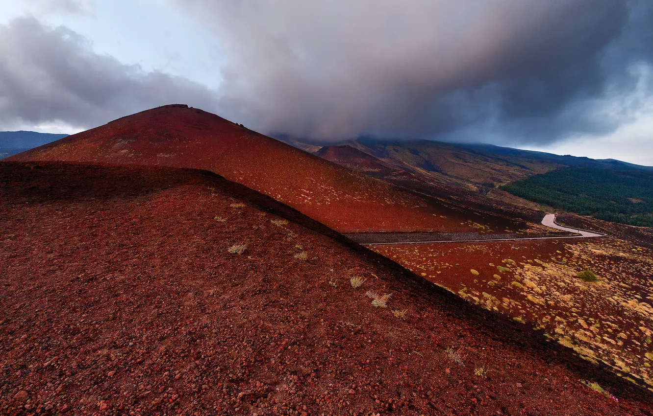Photo wallpaper road, forest, the sky, clouds, mountains