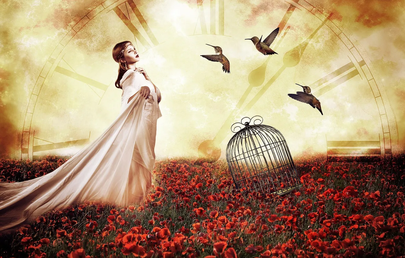 Photo wallpaper field, red, time, bird, arrows, watch, Maki, cell