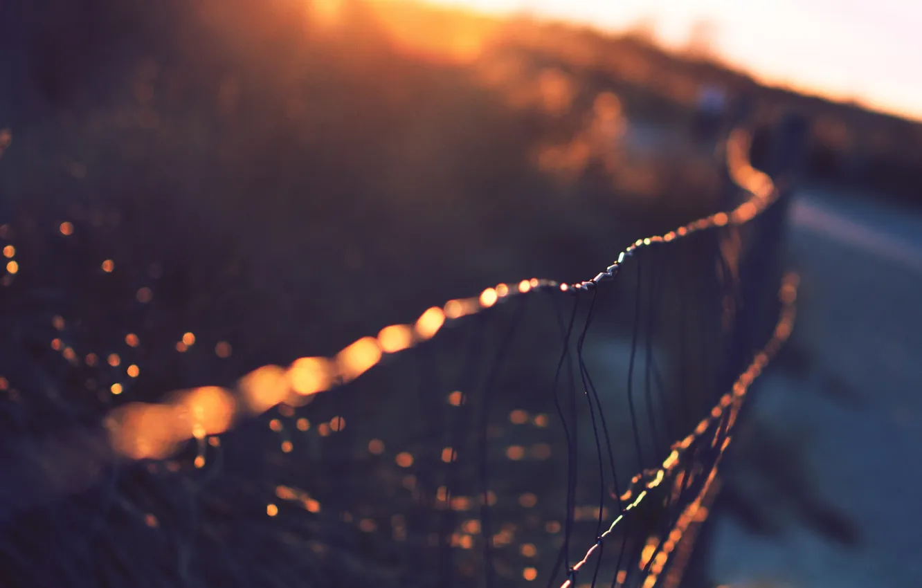 Photo wallpaper the sun, macro, rays, sunset, wire, macro