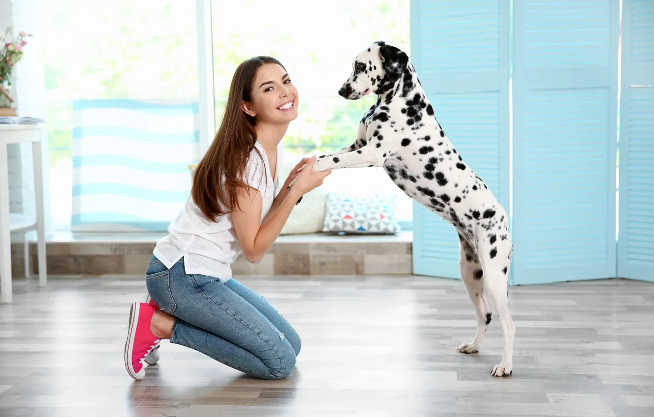 Photo wallpaper girl, mood, dog, Dalmatian, dog, dalmatian
