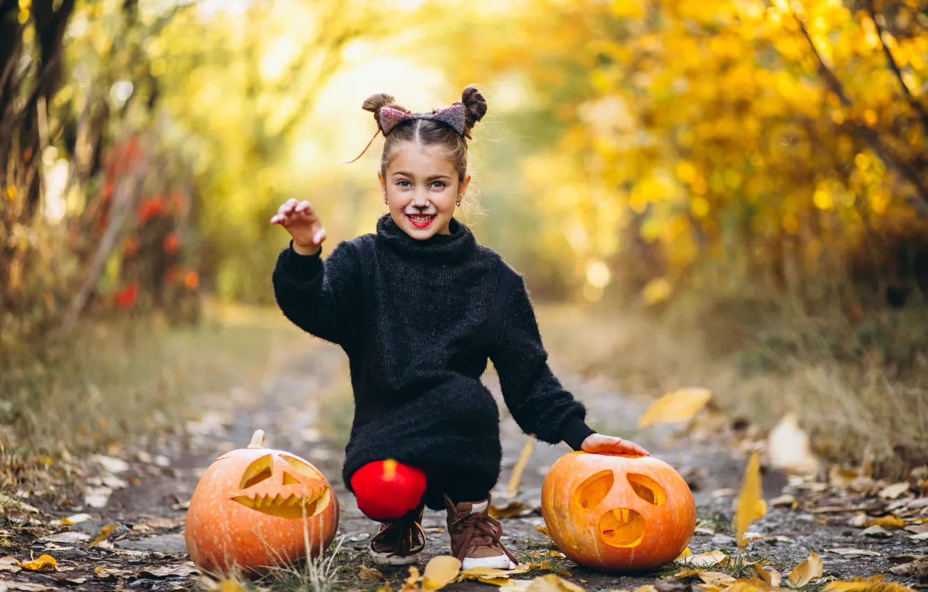 Photo wallpaper road, autumn, look, nature, smile, Park, holiday, the game