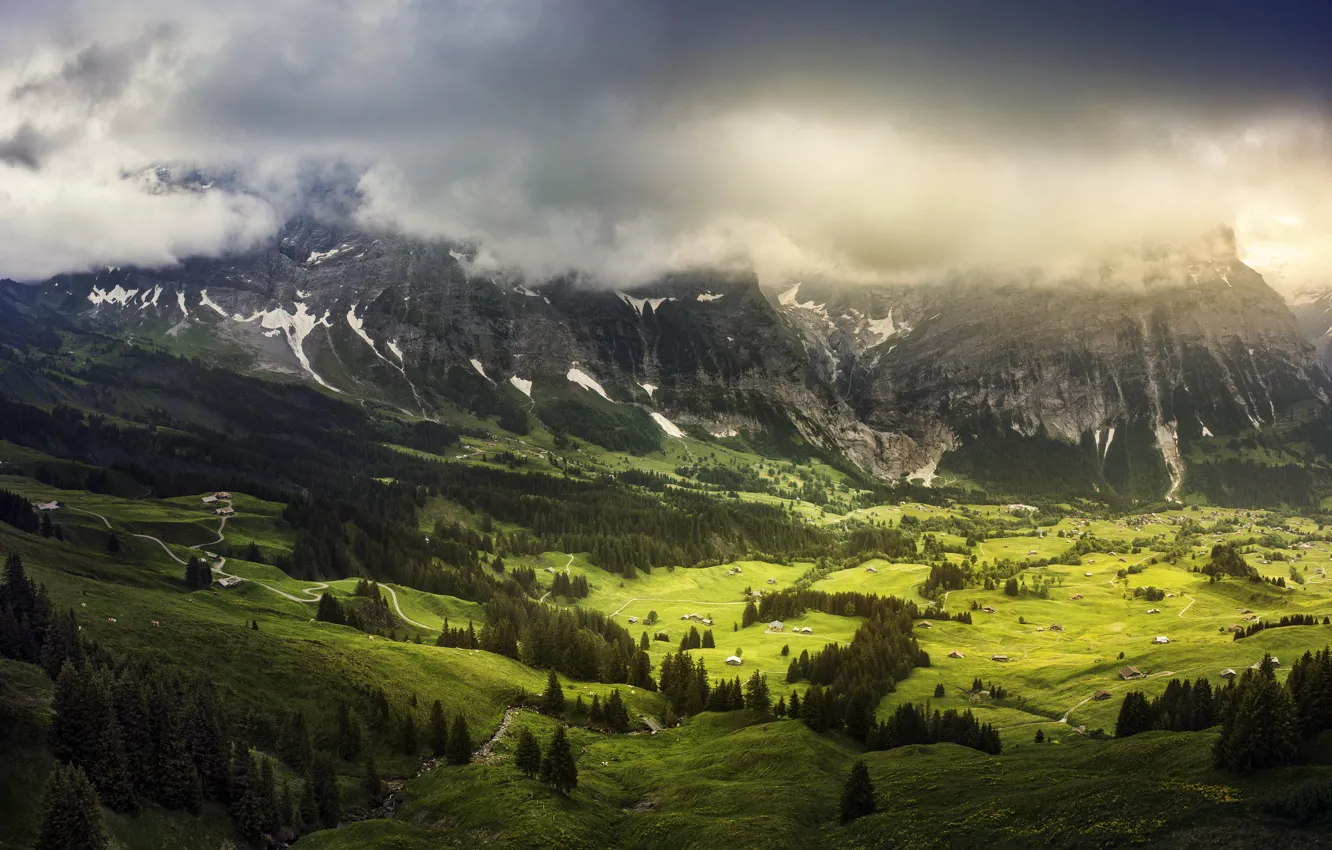 Photo wallpaper greens, summer, clouds, Switzerland, valley, in the Canton of Bern, Grindelwald
