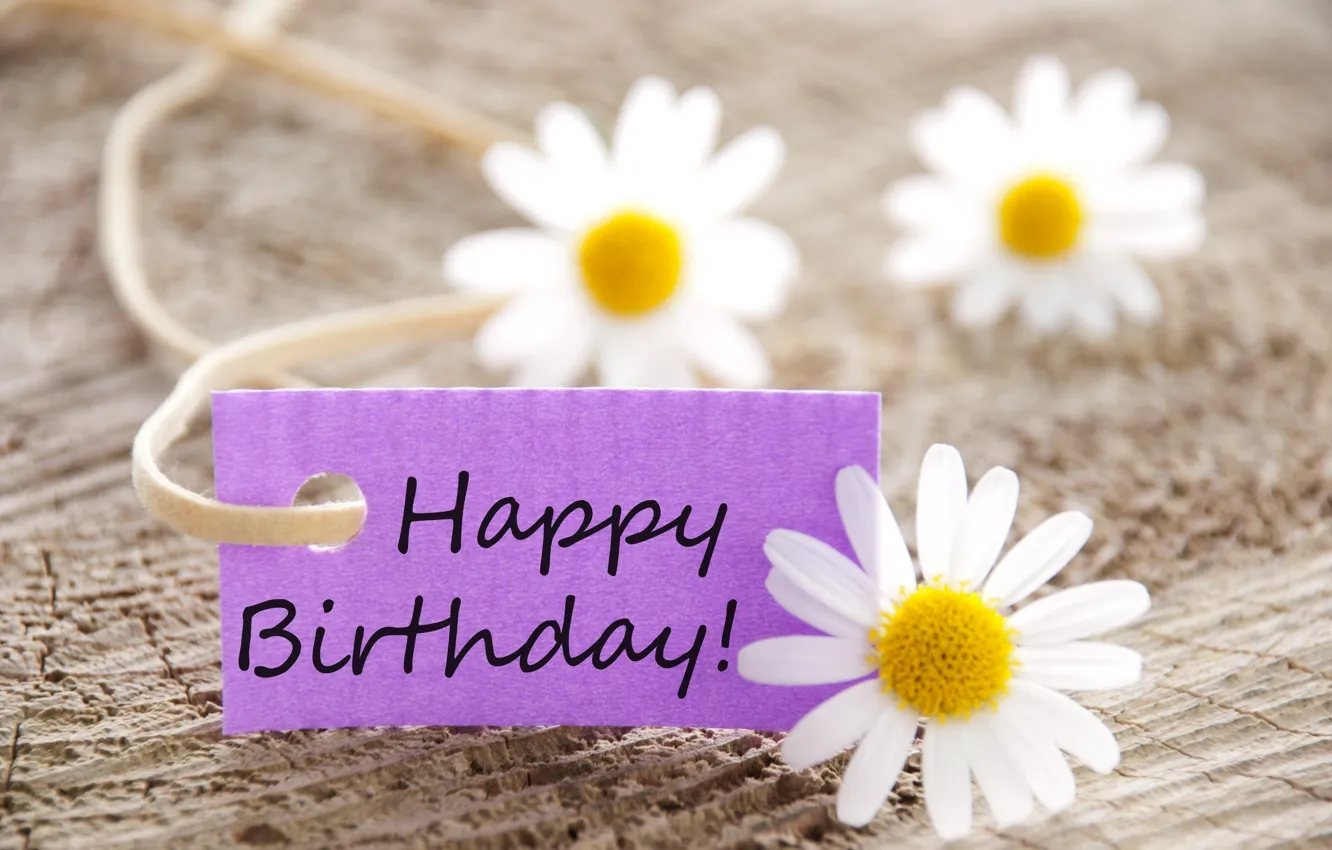 Photo wallpaper flowers, chamomile, flowers, Happy, Birthday