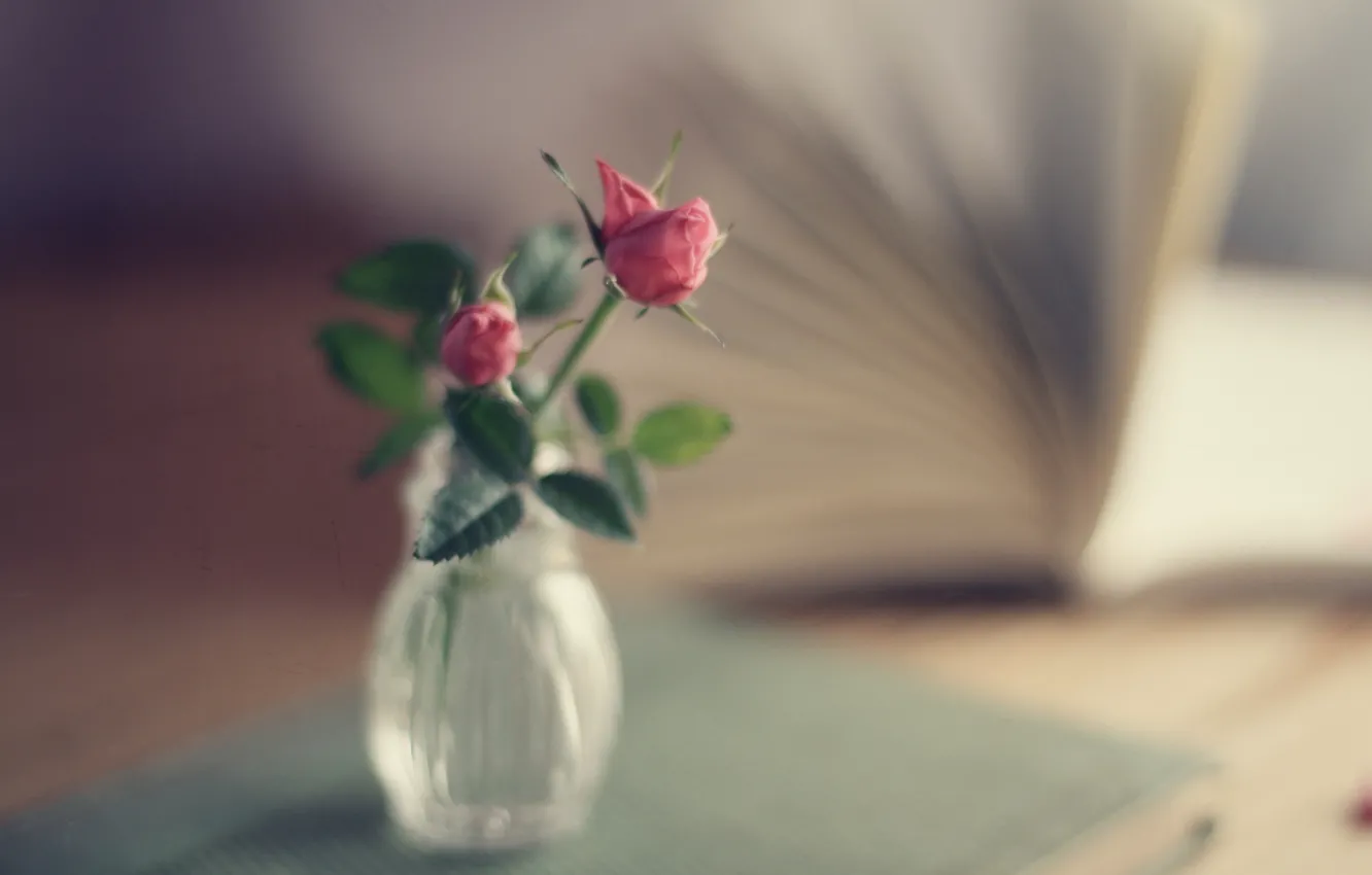 Photo wallpaper roses, bouquet, focus, book, vase, pink