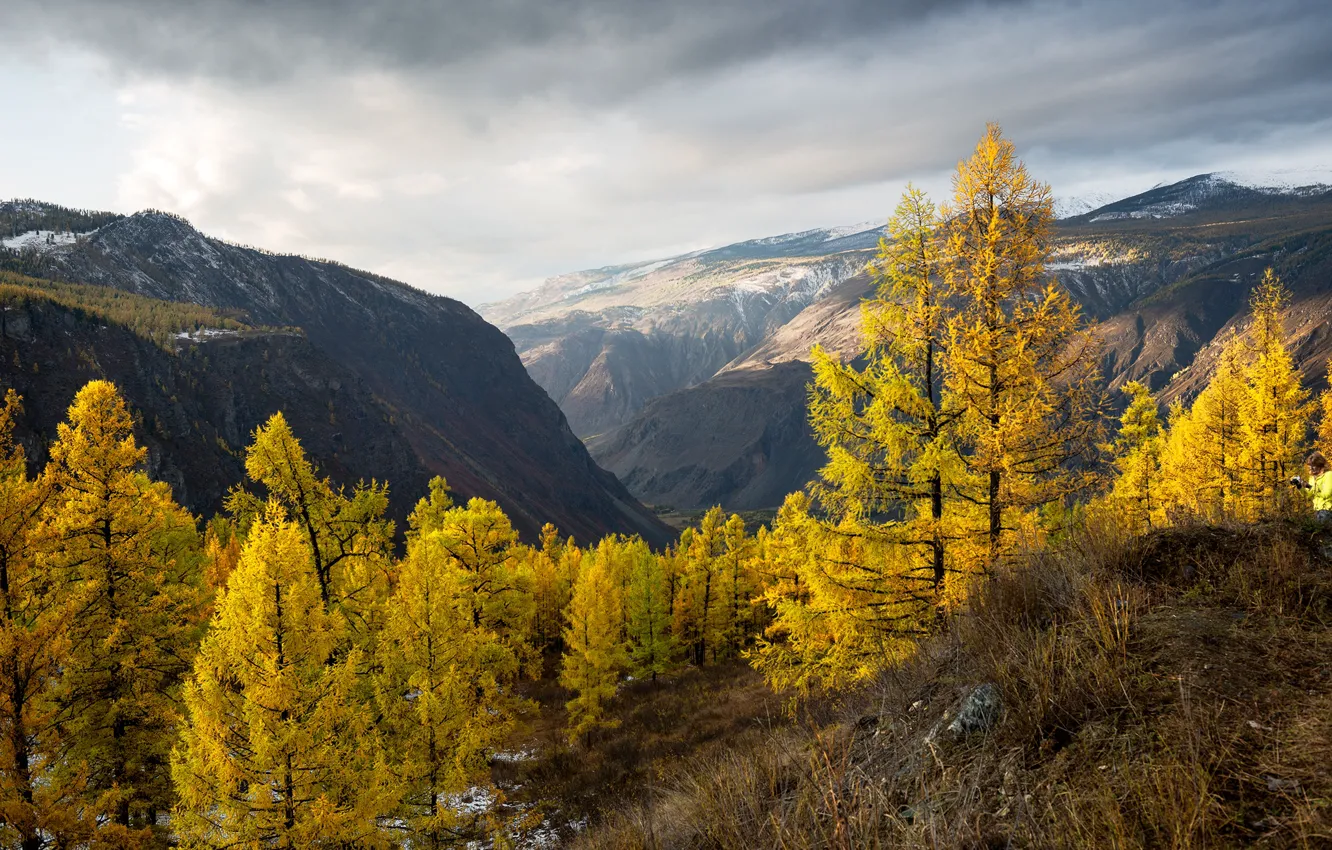 Photo wallpaper autumn, trees, landscape, mountains, nature, valley, Altay