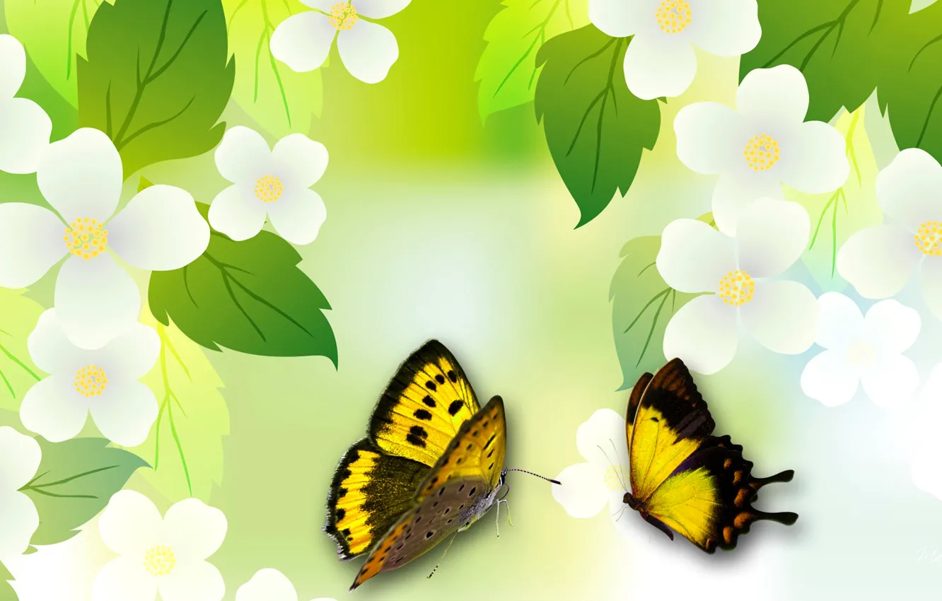 Photo wallpaper leaves, flowers, collage, butterfly, spring