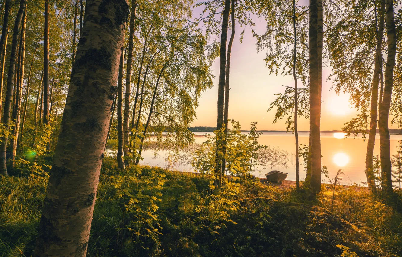 Photo wallpaper the sun, trees, nature, lake, sunrise, nature, sunrise, Finland
