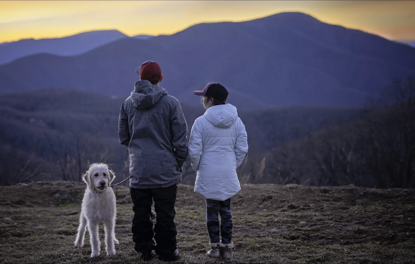 Photo wallpaper mountains, nature, people, dog, nature, dog, mountains, people