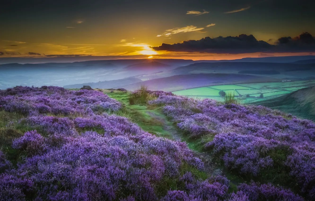 Photo wallpaper sunset, flowers, mountains, nature, meadow, pasag