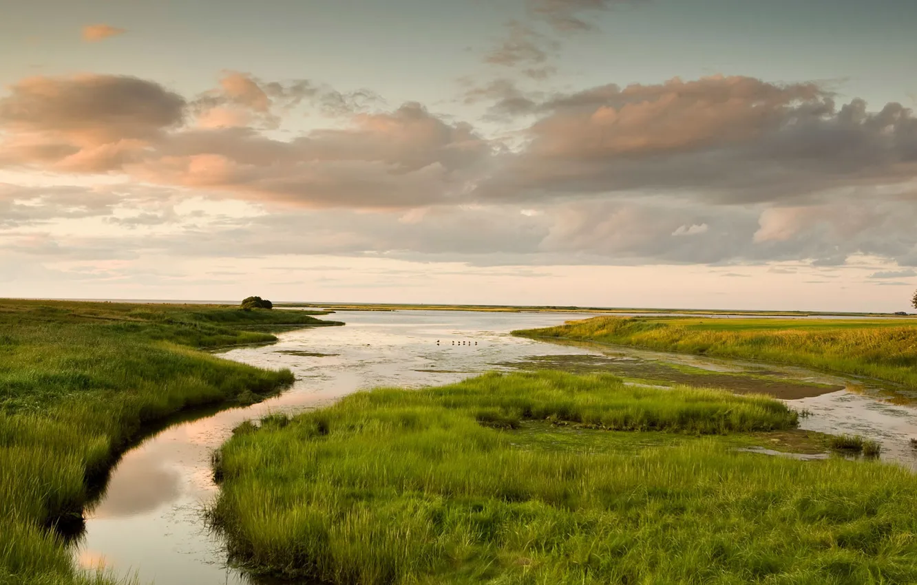 Photo wallpaper stream, Canada, grass, swamp, river, Shediac