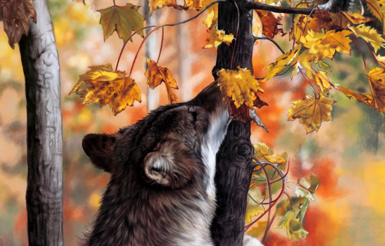 Photo wallpaper autumn, forest, wolf