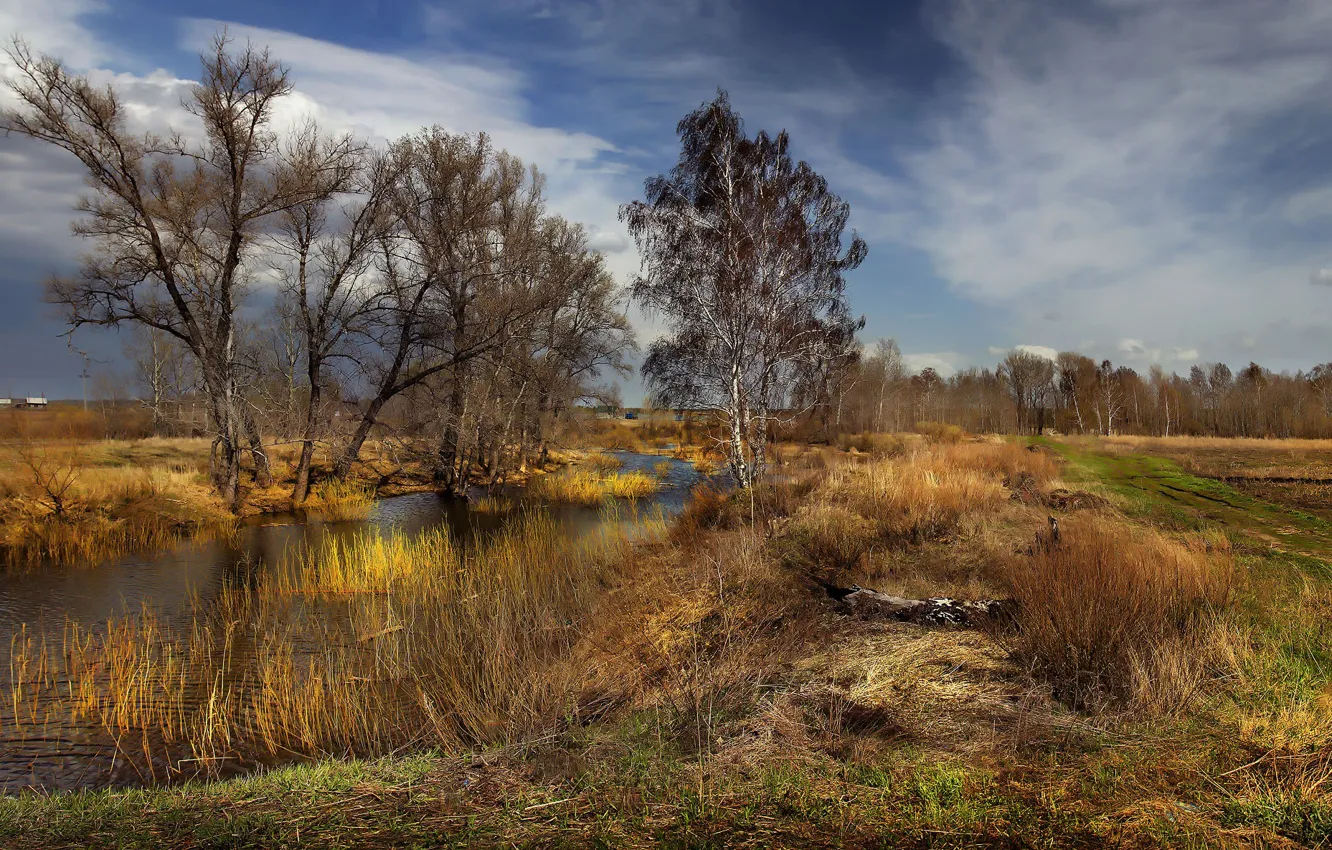 Photo wallpaper trees, river, The Urals