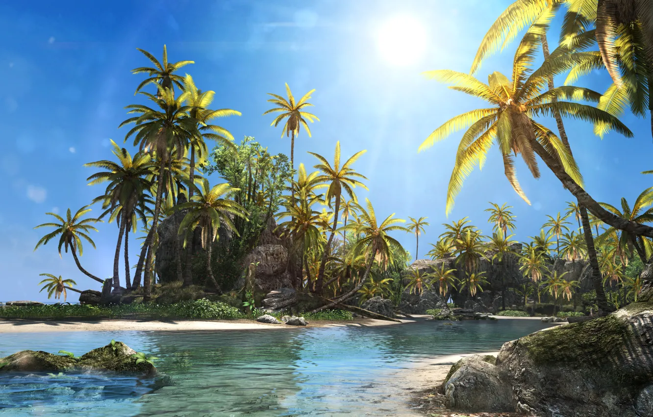 Photo wallpaper beach, the sun, palm trees, island, Black Flag, Assassin's Creed IV