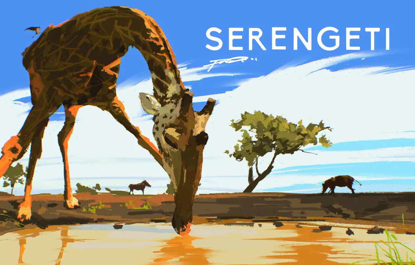 Photo wallpaper the sky, water, giraffe, Rhino, by Fangpeii