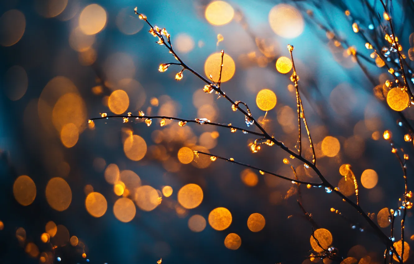 Photo wallpaper drops, light, branches, bokeh, AI art, neural network