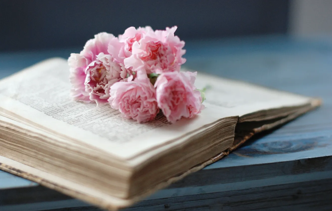Photo wallpaper flowers, book, pink, page, old, clove