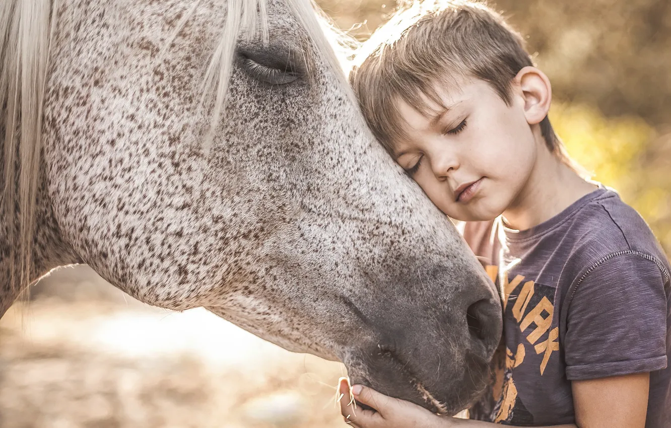 Photo wallpaper mood, horse, boy