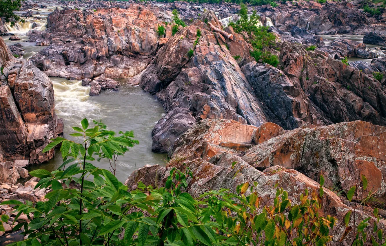 Photo wallpaper water, rocks, stream, foliage