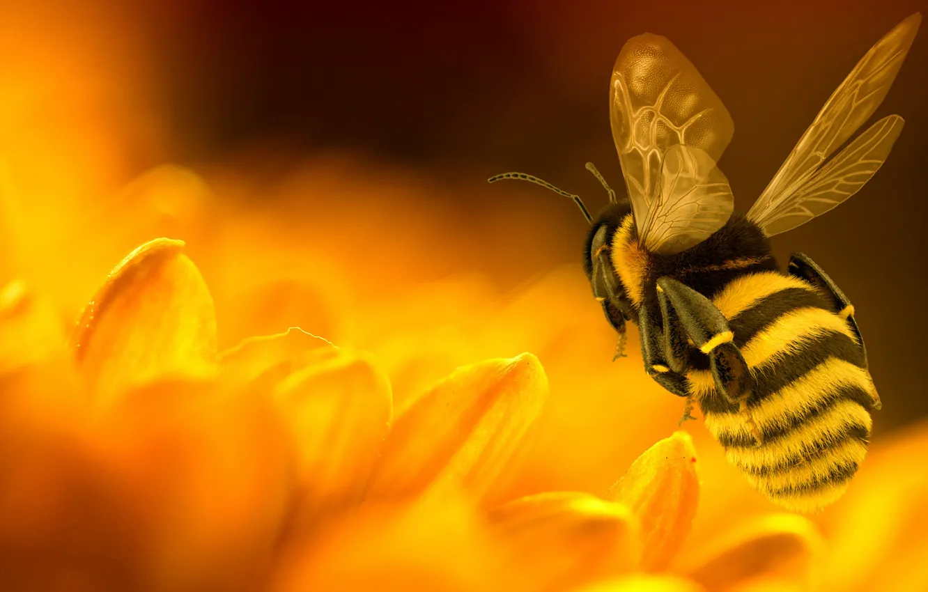 Photo wallpaper flowers, yellow, rendering, bee, petals, insect, bumblebee
