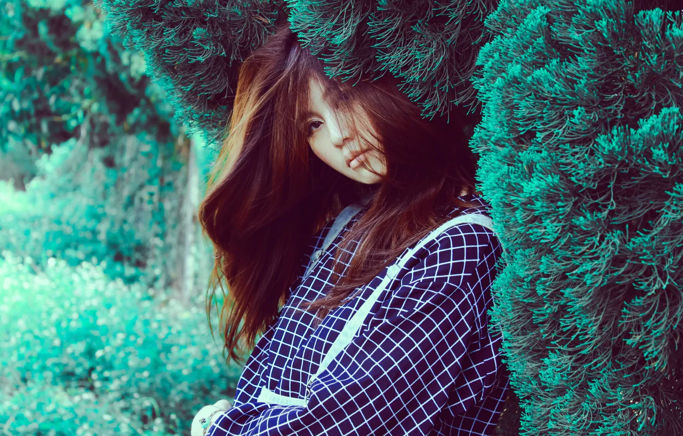 Photo wallpaper girl, brown hair, Asian, the bushes