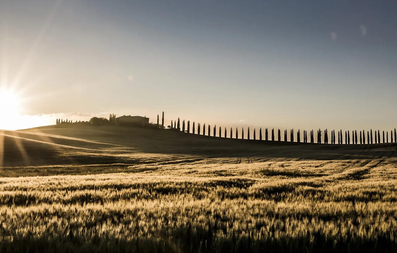Photo wallpaper field, landscape, fog, morning, Tuscany Morning