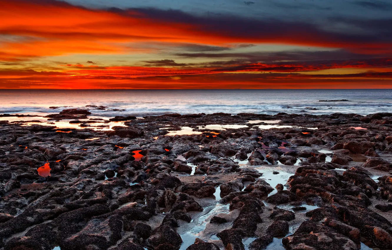 Photo wallpaper sunrise, the ocean, Argentina, Atlantic