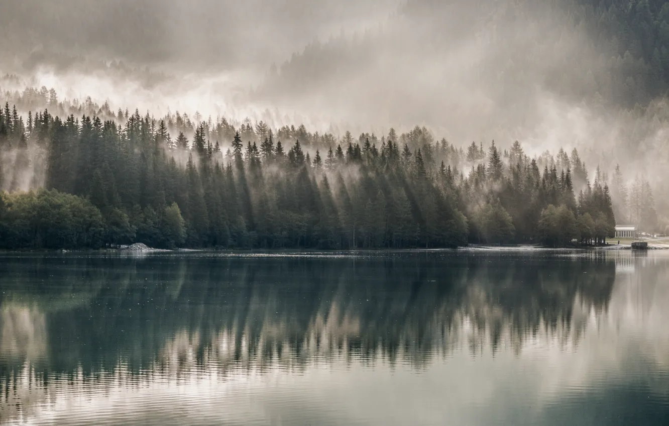 Photo wallpaper forest, water, trees, landscape, nature, fog, lake, home