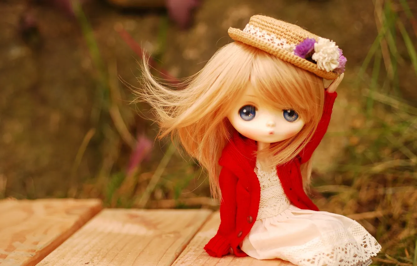 Photo wallpaper toy, doll, hat