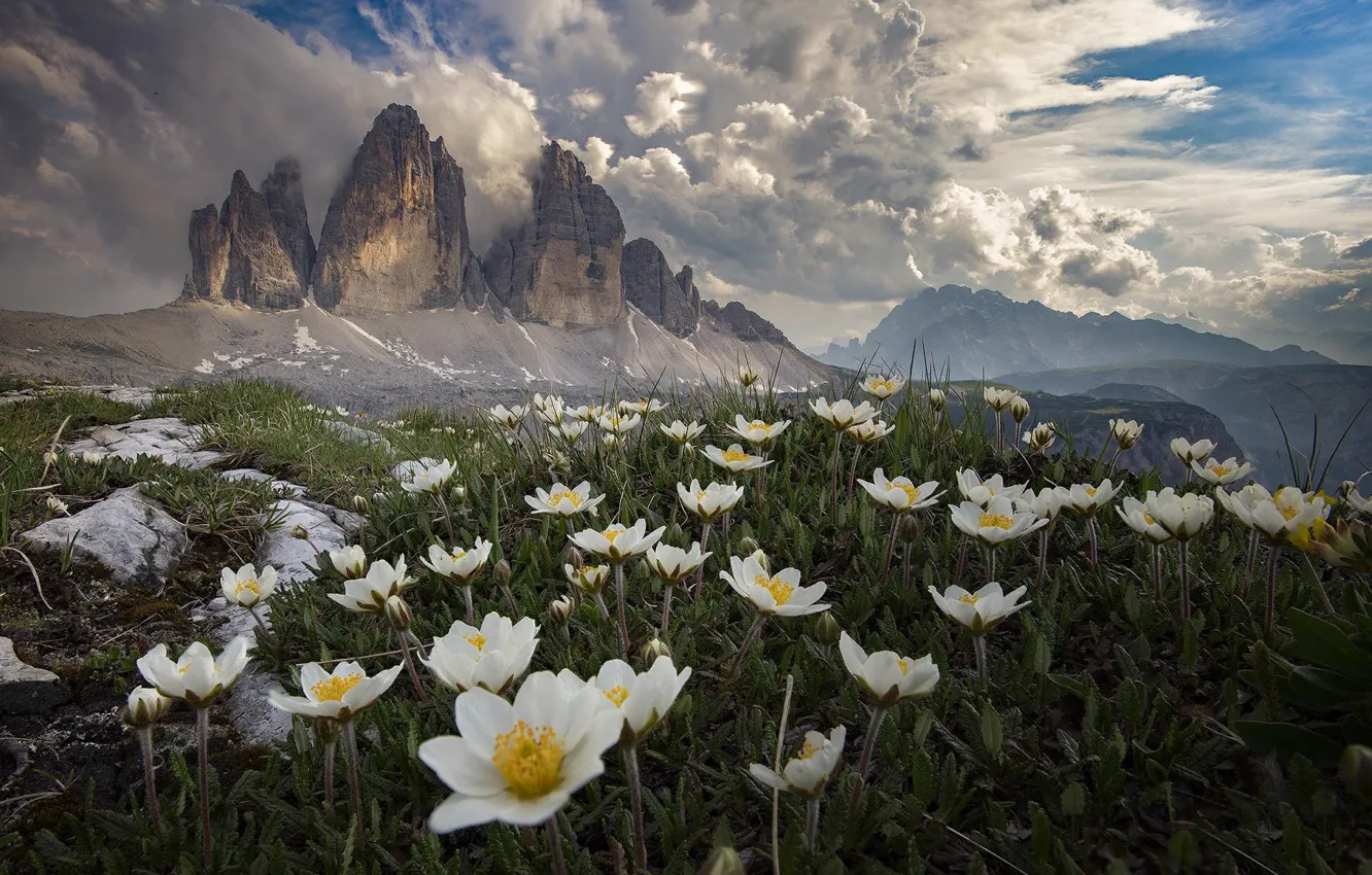 Photo wallpaper clouds, landscape, flowers, mountains, nature, Italy, grass, anemones
