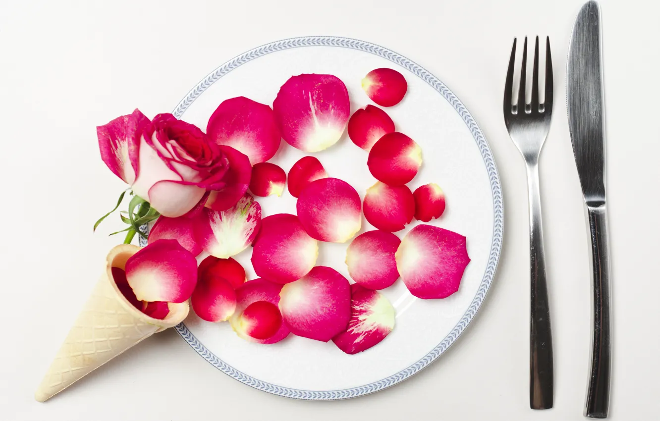 Photo wallpaper Rose, petals, horn, Cutlery