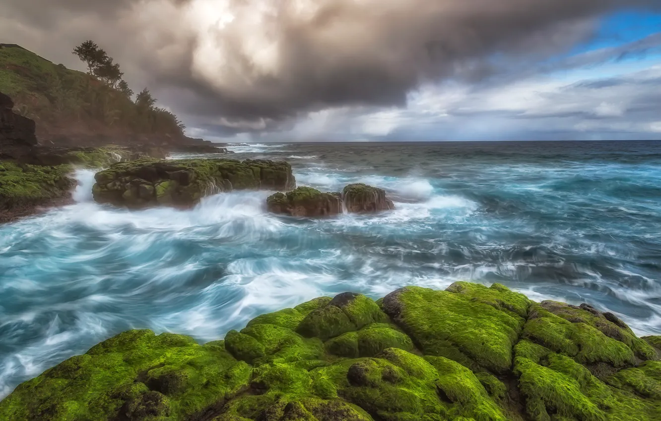 Photo wallpaper stones, the ocean, coast, Hawaii, Pacific Ocean, Hawaii, Kauai, The Pacific ocean