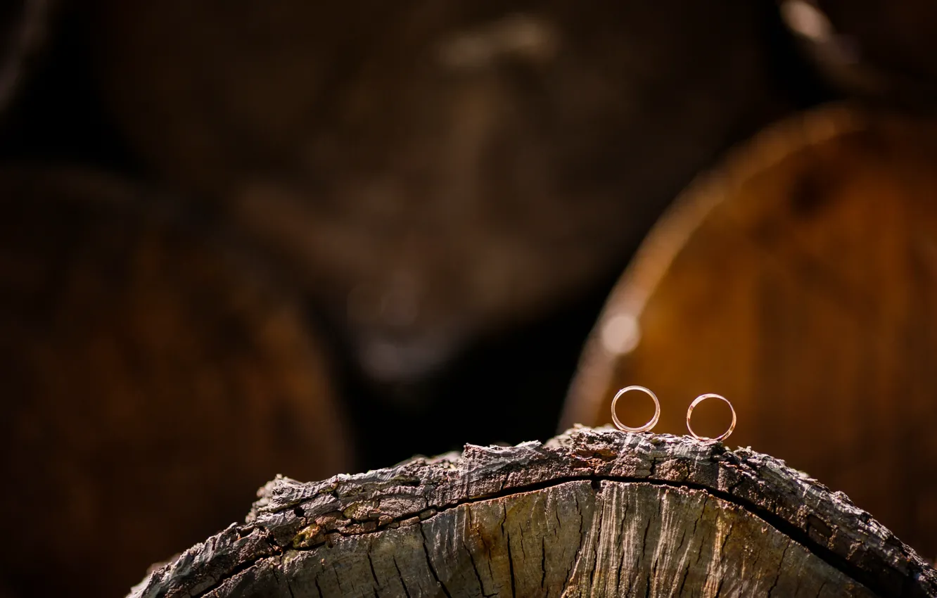 Photo wallpaper summer, ring, Svadba