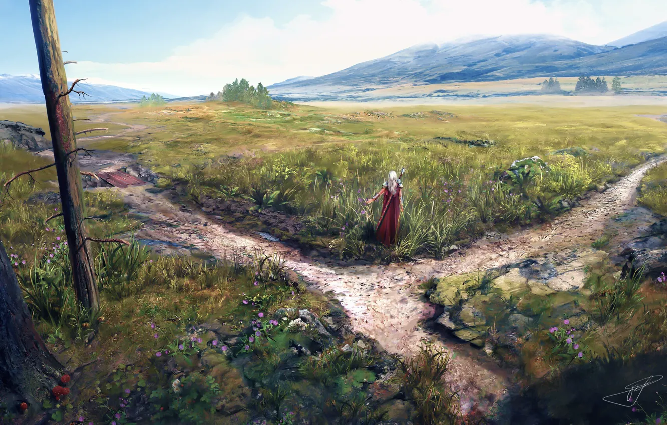 Photo wallpaper fantasy, field, fairy, art, warrior, fantasy art, crossroads, Max Suleimanov
