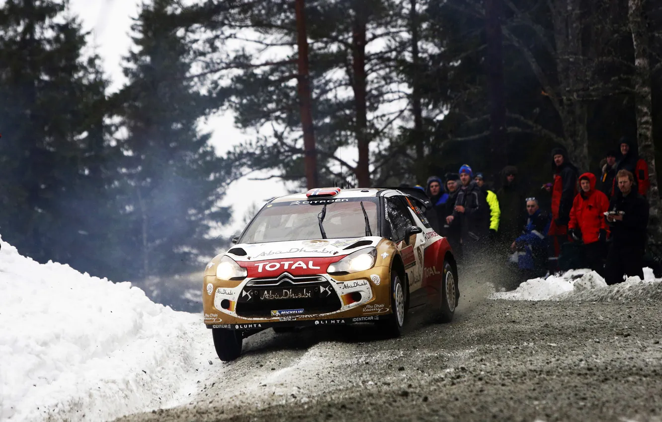 Photo wallpaper machine, auto, forest, sport, people, Citroen, DS3, WRC