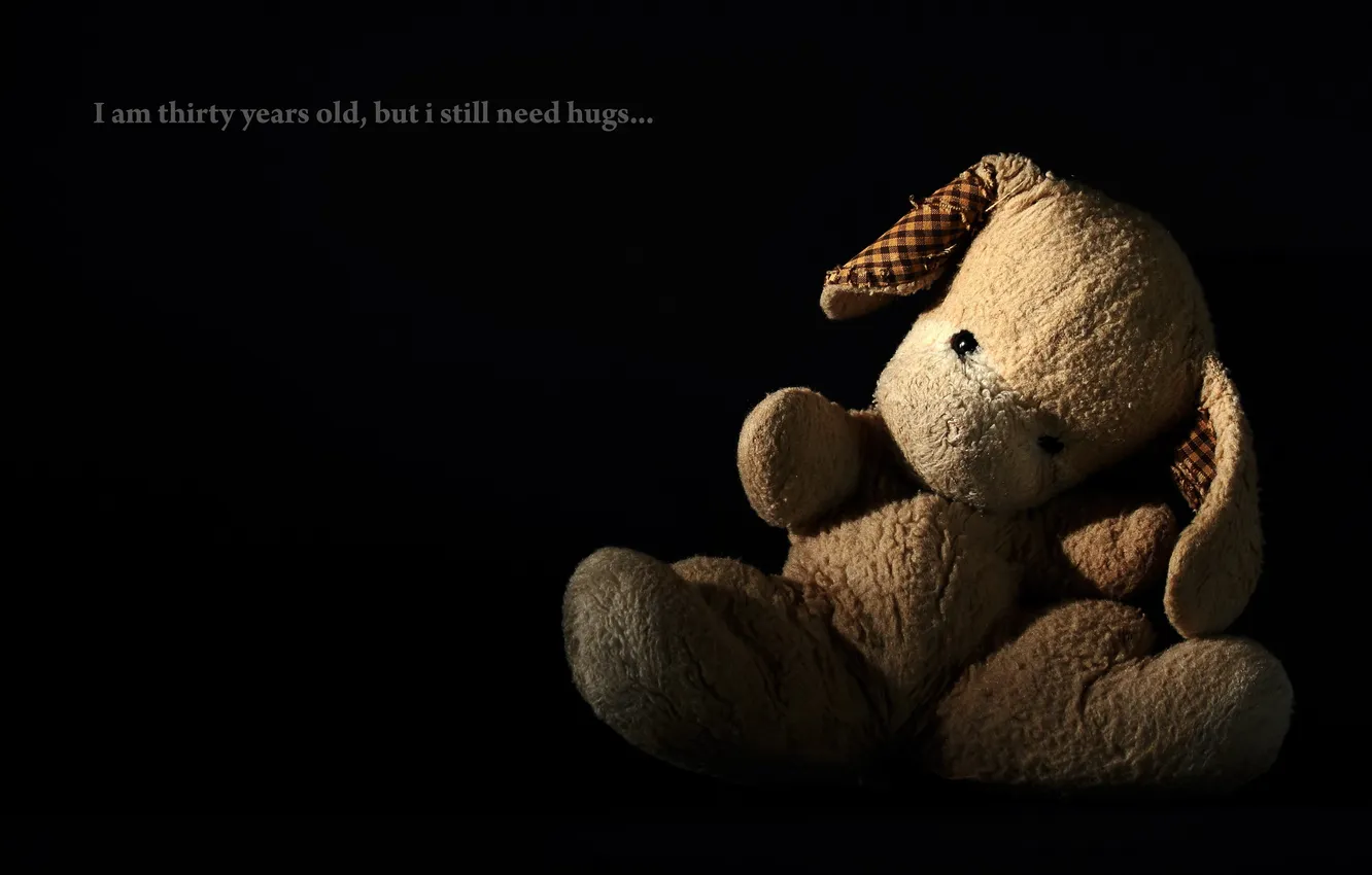 Photo wallpaper background, toy, bear