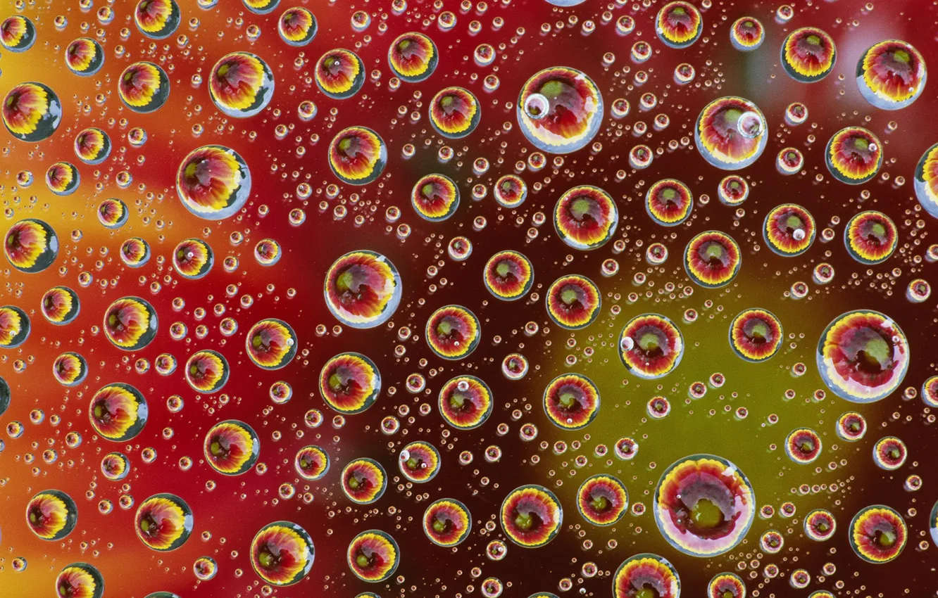 Photo wallpaper water, drops, reflection