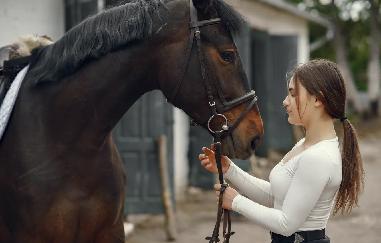 Photo wallpaper girl, each, horse, horse, blouse, profile, brown hair, is