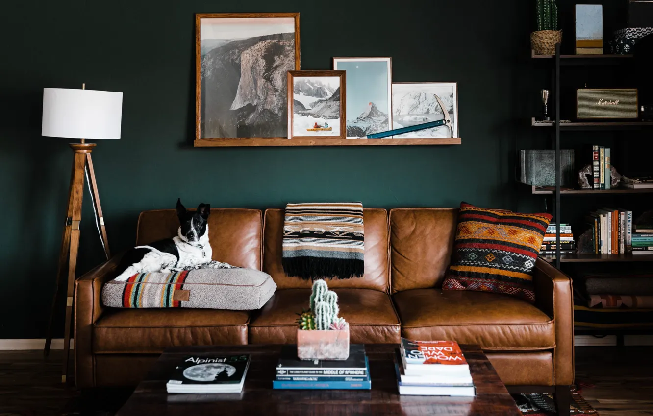 Photo wallpaper design, style, interior, picture, book, sofa, living room, Utah