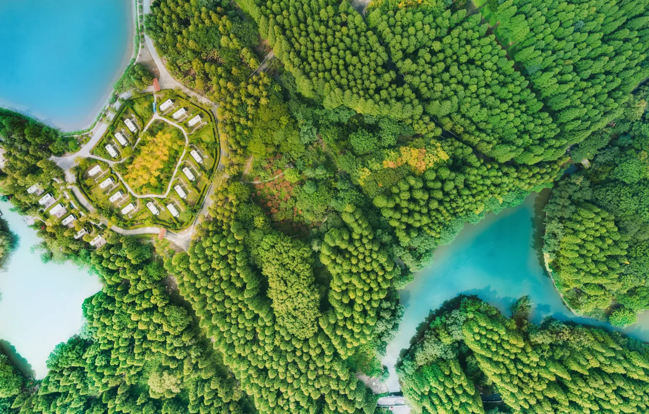 Photo wallpaper nature, home, trees, water, river, forest, road
