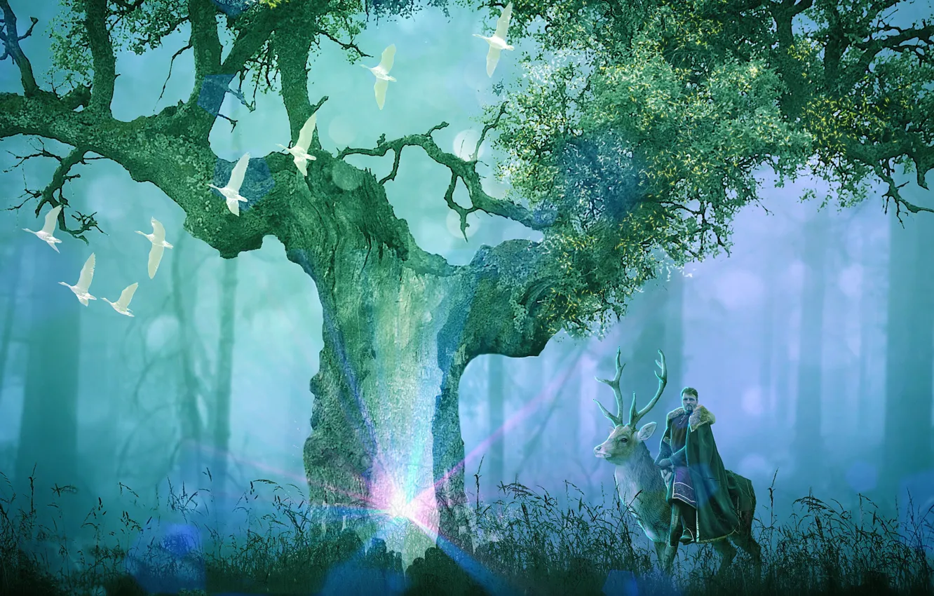 Photo wallpaper grass, trees, deer, male, swans