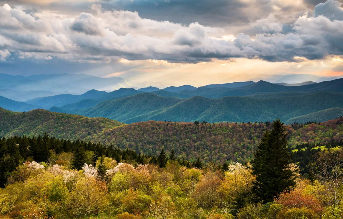 Photo wallpaper the sky, clouds, hills, spring, forest, North Carolina
