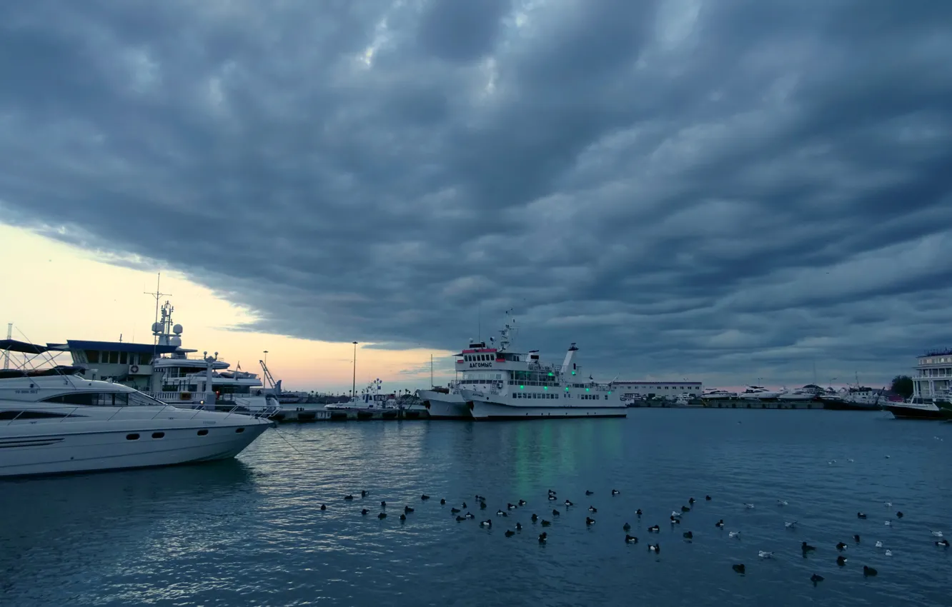 Photo wallpaper clouds, the evening, pier, Sochi